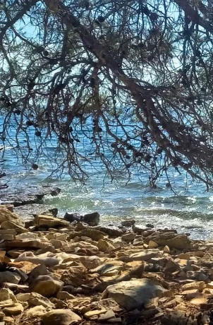 barbariga beach sea view from shade