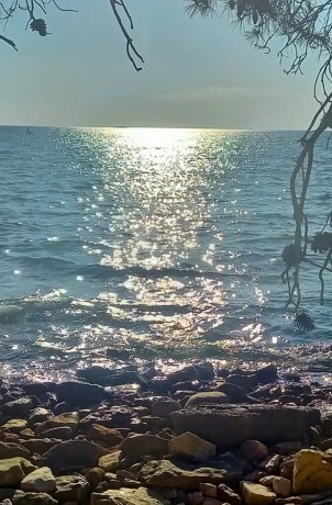 barbariga beach sea view from shade 2